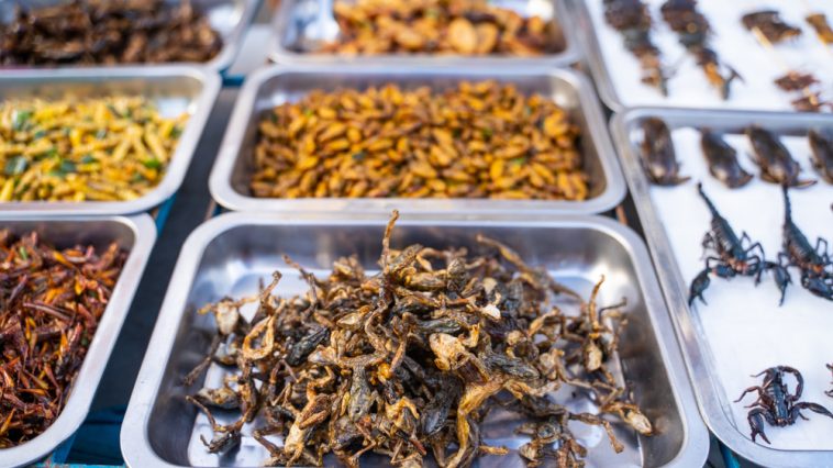 makanan aneh, makanan aneh dari berbagai negara